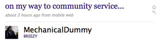 Illustration for article titled Chris Brown Tweets About Community Service